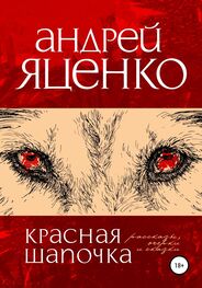 Андрей Яценко: Красная Шапочка