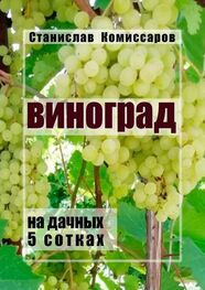 Станислав Комиссаров: Виноград на дачных 5 сотках. Издание второе, исправленное и дополненное