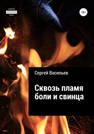 Сергей Васильев: Сквозь пламя боли и свинца