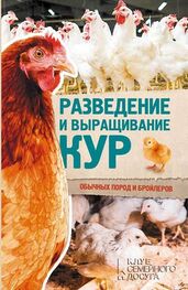 Юрий Пернатьев: Разведение и выращивание кур обычных пород и бройлеров