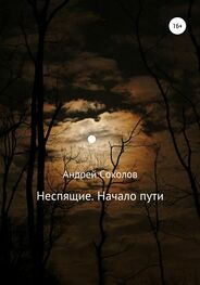 Андрей Соколов: Неспящие. Начало пути