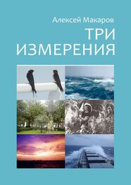 Алексей Макаров: Три измерения. Сборник рассказов