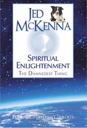 Джед МакКенна: Духовное просветление — прескверная штука