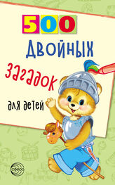 Владимир Нестеренко: 500 двойных загадок для детей