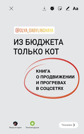 Оля Сабылинская: Из бюджета только кот. Книга о продвижении и прогревах в социальных сетях
