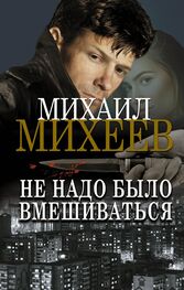 Михаил Михеев: Не надо было вмешиваться