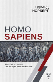 Эдвард Норберт: Homo Sapiens. Краткая история эволюции человечества