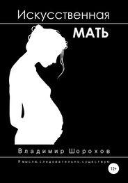 Владимир Шорохов: Искусственная мать