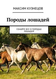 Максим Кузнецов: Породы лошадей. Узнайте все о породах лошадей