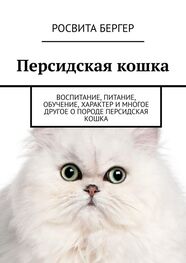 Росвита Бергер: Персидская кошка. Воспитание, питание, обучение, характер и многое другое о породе персидская кошка
