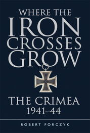 Robert Forczyk: Where the Iron Crosses Grow