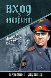 Андрей Молчанов: Вход в лабиринт