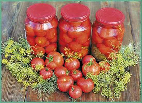 Соленые помидоры с горчицей Ингредиенты 182 кг помидоров 34 зубчика - фото 7