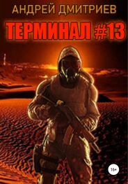 Андрей Дмитриев: Терминал #13