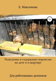 Екатерина Максимова: Разведение и содержание перепелов на даче и в квартире