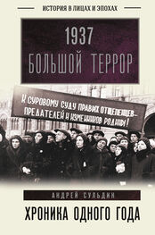 Андрей Сульдин: 1937. Большой террор. Хроника одного года