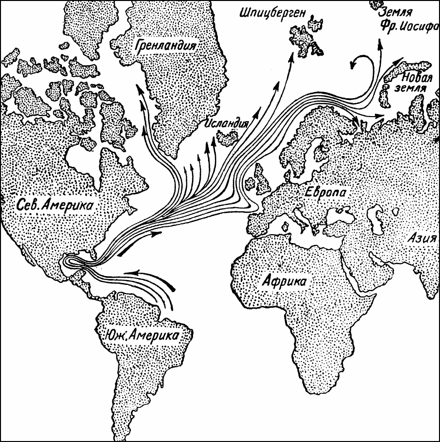 Система течений Гольфстрима Несколько позже в 1513 году флотилия Понсе де - фото 97