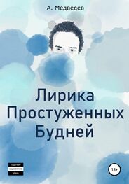 Александр Медведев: Лирика Простуженных Будней