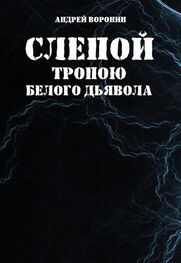 Андрей Воронин: Слепой. Тропою белого дьявола