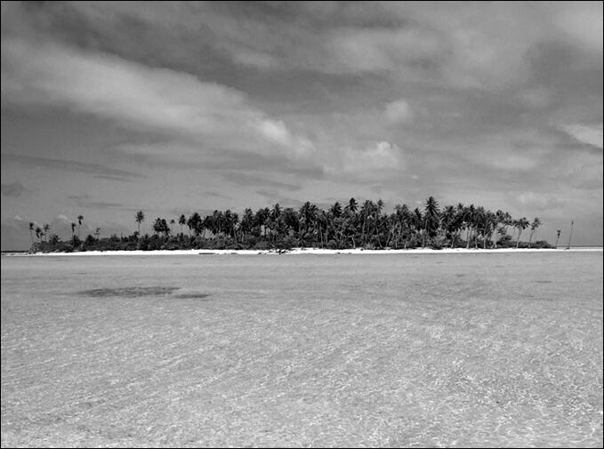 У берегов Таити Первую тропу на пути к раскрытию тайны таитянских приливов - фото 4