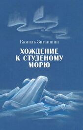 Камиль Зиганшин: Хождение к Студеному морю