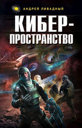 Андрей Ливадный: Жизненное пространство. Книга 3. Киберпространство