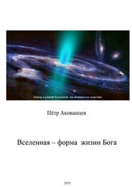Пётр Акованцев: Вселенная – форма жизни Бога. Теория Всего