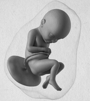 Период новорожденности Это первые 4 недели жизни или 28 дней В новорожденной - фото 28