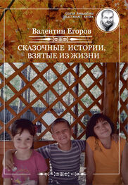 Валентин Егоров: Сказочные истории, взятые из жизни (сборник)