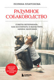 Полина Платонова: Разумное собаководство. Советы ветеринара, как воспитать и вырастить щенка здоровым