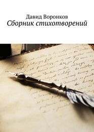 Давид Воронков: Сборник стихотворений
