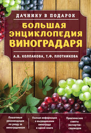 Анастасия Колпакова: Большая энциклопедия виноградаря