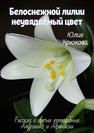 Юлия Крюкова: Белоснежной лилии неувядаемый цвет