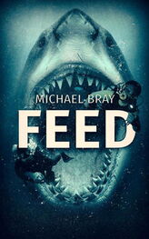 Michael Bray: Feed