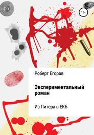 Роберт Егоров: Экспериментальный роман