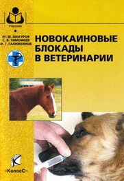 Мухаметфатих Шакуров: Новокаиновые блокады в ветеринарии