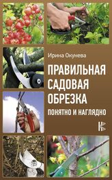 Ирина Окунева: Правильная садовая обрезка: понятно и наглядно