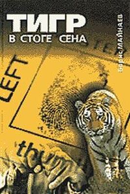 Борис Майнаев Тигр в стоге сена