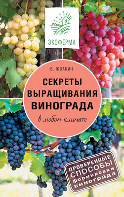 Виктор Жвакин Секреты выращивания винограда в любом климате. Проверенные способы формировки винограда