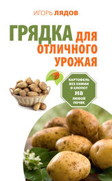 Игорь Лядов: Грядка для отличного урожая. Картофель без химии и хлопот на любой почве