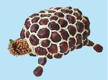 Черепаха Грибы Цветочная композиция - фото 270