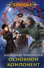 Александр Пономарев: Основной компонент