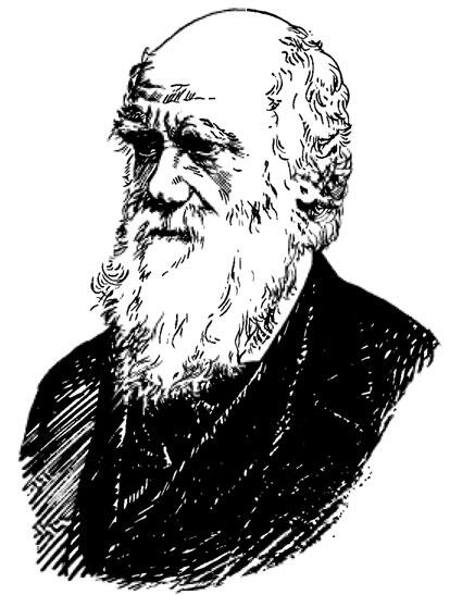 Чарлз Дарвин 18091882 Великий английский ученыйнатуралист Ноябрь 1859 г - фото 9