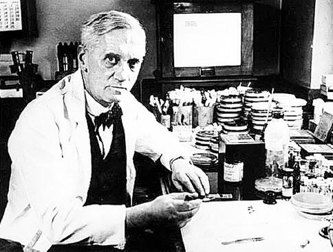Флеминг не был даже близко к первым исследователям пенициллина и уж точно не - фото 1