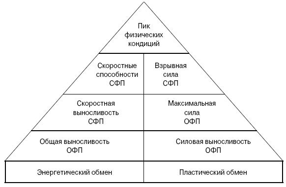 Рис 1 Пирамида кондиционной подготовки В качестве основных элементарных - фото 1