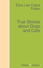 Eliza Lee Cabot Follen: True Stories about Dogs and Cats