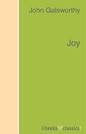 John Galsworthy: Joy