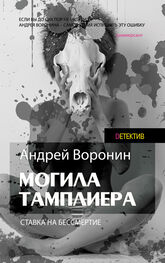 Андрей Воронин: Слепой. Могила тамплиера