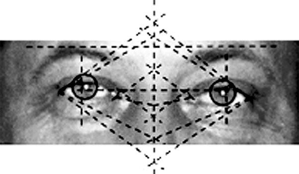 Офтальмогеометрические характеристики глазной области лица В дальнейшем на - фото 19