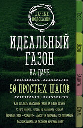 Мария Колпакова: Идеальный газон на даче. 50 простых шагов
